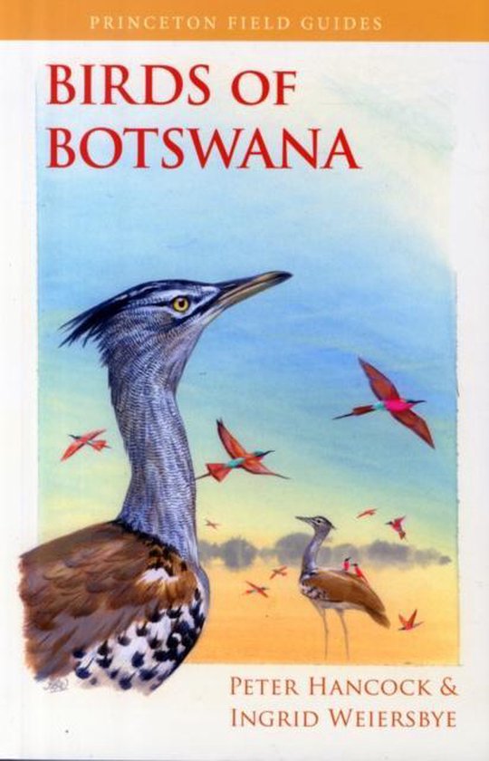 Birds Of Botswana