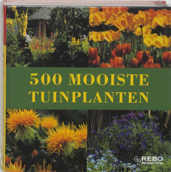 Cover van het boek '500 Mooiste tuinplanten'