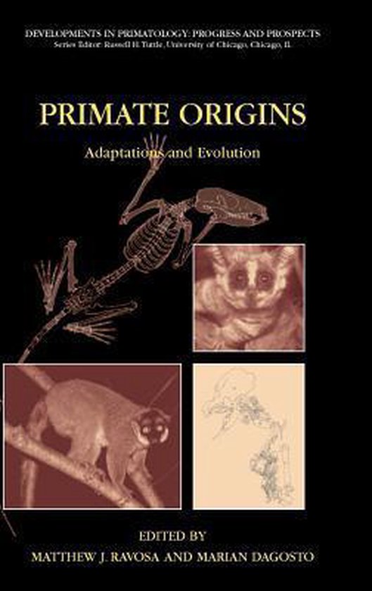 Primate Origins