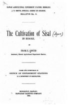 The cultivation of Sisal in Hawaii