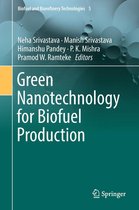 Biofuel and Biorefinery Technologies 5 - Green Nanotechnology for Biofuel Production