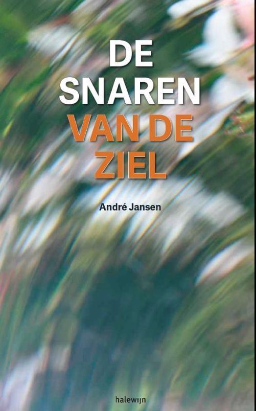 De snaren van de ziel - Andre Jansen | Northernlights300.org