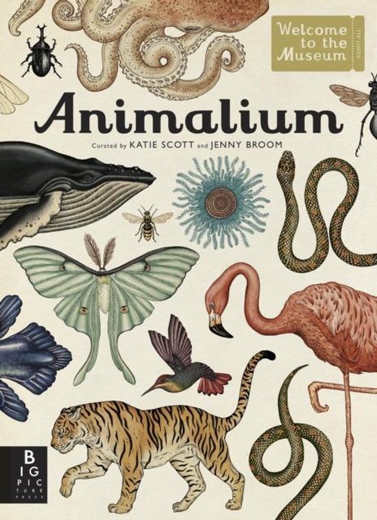Welcome To The Museum Animalium - cover