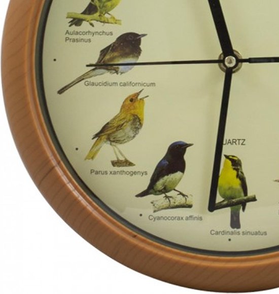 Klok met vogelgeluiden - Ieder uur een ander geluid bol.com