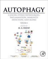 Autophagy: Cancer, Other Pathologies, Inflammation, Immunity