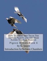 How To Breed and Train The Tippler Pigeon and the High Flying Tumbler Pigeons