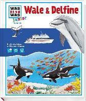 Was ist was junior 26: Wale und Delfine