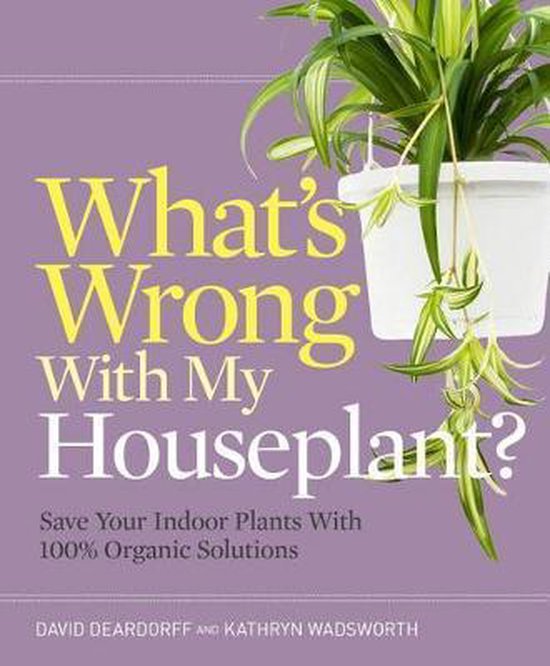 What's Wrong with My Houseplant? Save Your Indoor Plants with 100