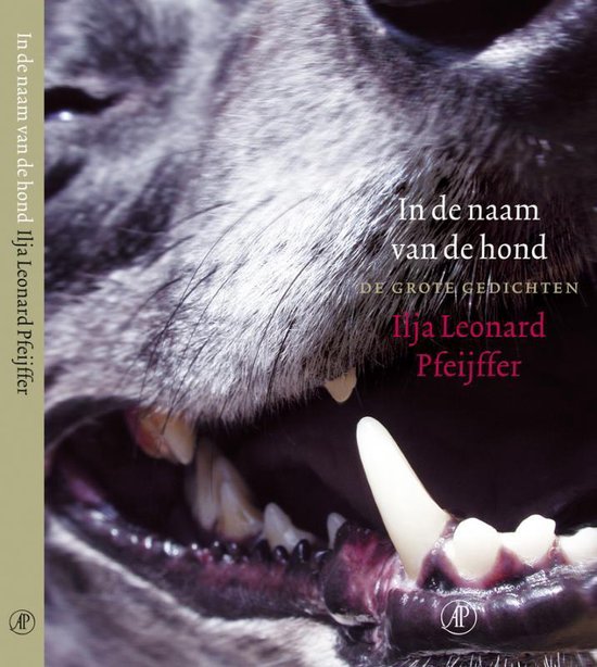 In De Naam Van De Hond - Ilja Leonard Pfeijffer | Northernlights300.org