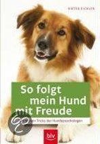 So folgt mein Hund mit Freude