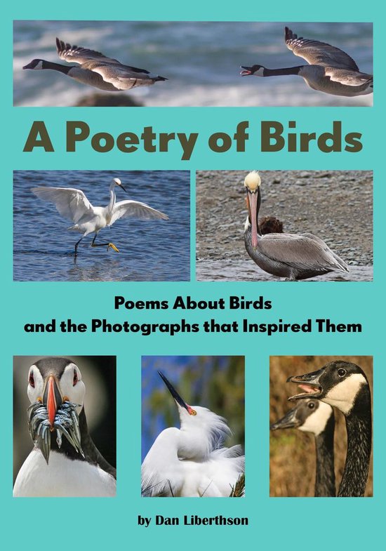 A Poetry of Birds - cover