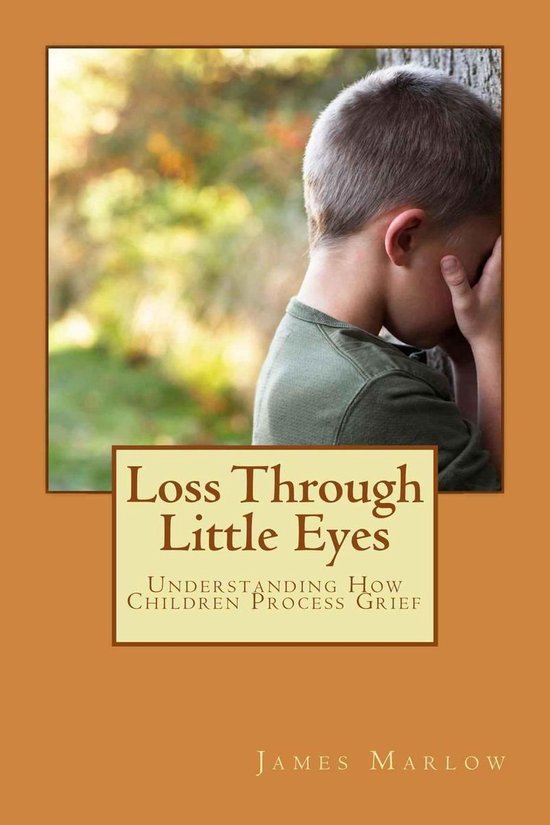 Loss Through Little Eyes - cover
