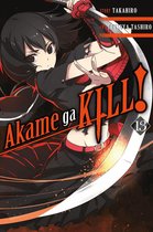 Akame ga KILL! 13 - Akame ga KILL!, Vol. 13