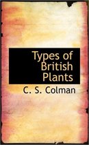 Types of British Plants