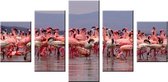 Flamingo's - Canvas Schilderij Vijfluik 160 x 80 cm