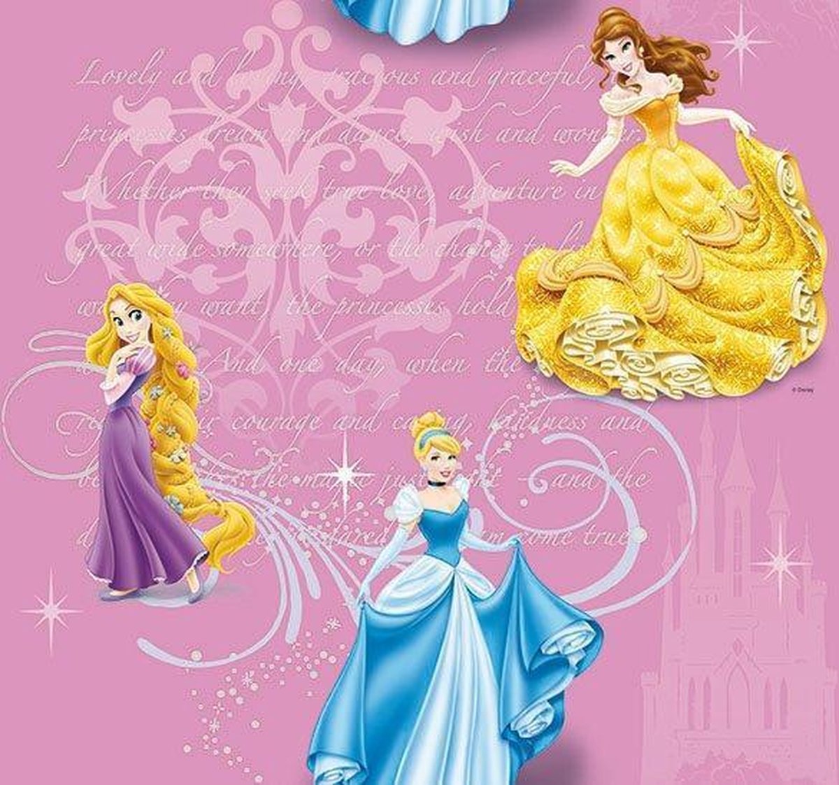 Disney Princess - Gordijn - Roze - 140x250 cm | bol.com