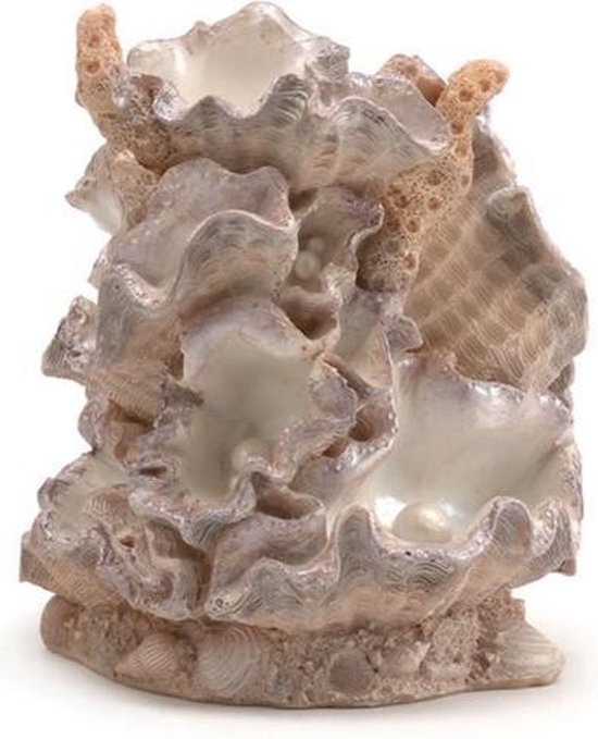 Clamshell Aquarium Sculptuur S Roze