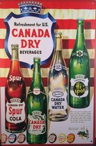 Retro plaat "Canada Dry"