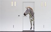 Zebra - Deursticker