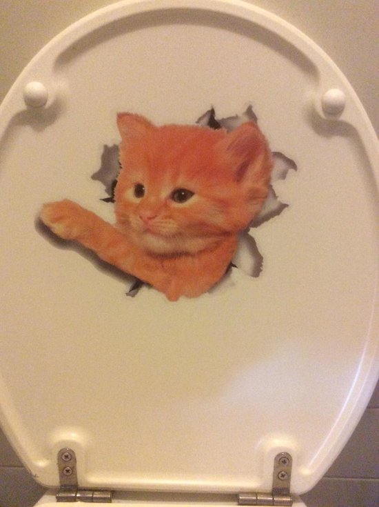 Autocollant Mural Decoration Murale Wc Salle De Bain Chat Chat Salon Bol Com