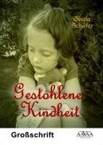Gestohlene Kindheit - Sonderformat Großschrift