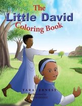 The Little David Coloring Book