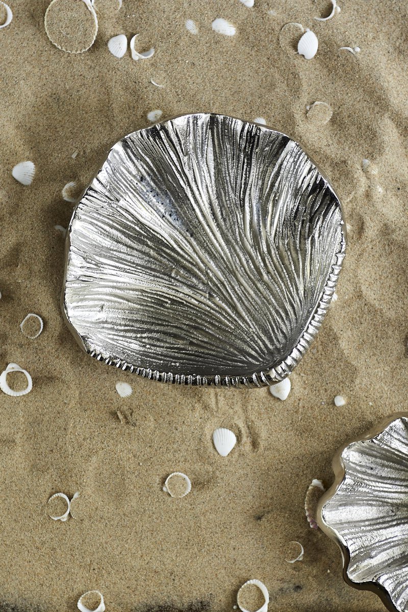 Plantkunde voldoende of Riviera Maison Sea Shell Treasure Decoration M | bol.com