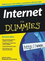 Internet für Dummies