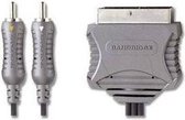 Bandridge VL7552 video kabel adapter 1,5 m SCART (21-pin) 2 x RCA Grijs