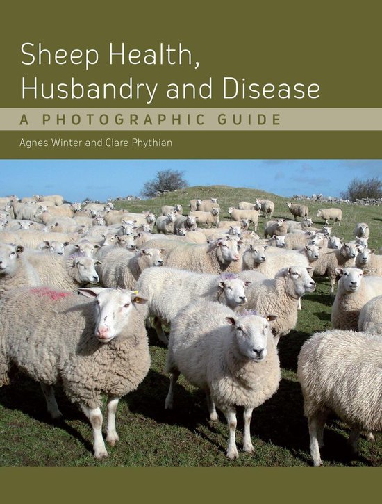 Sheep Health, Husbandry and Disease - cover