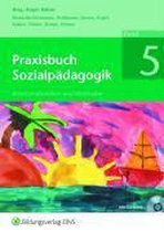 Praxisbuch Sozialpädagogik 5