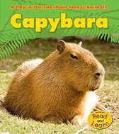 Capybara (A Day in the Life