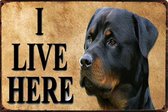 rottweiler - Rottie - I live here  - hond - Dog -  METALEN WANDBORD RECLAMEBORD MUURPLAAT VINTAGE RETRO WANDDECORATIE TEKST DECORATIEBORD RECLAME NOSTALGIE ART 9178