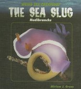 The Sea Slug