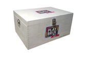 PlayBrix bouwplankjes 500st in kist