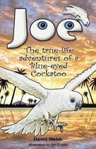 Joe the Blue-Eyed Cockatoo