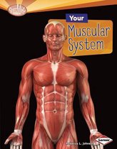 Searchlight Books (TM) -- How Does Your Body Work?- Your Muscular System