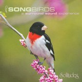 Songbirds [Solitudes]