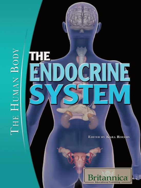 The Endocrine System - cover