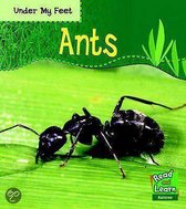 Ants