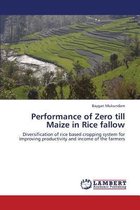 Performance of Zero Till Maize in Rice Fallow