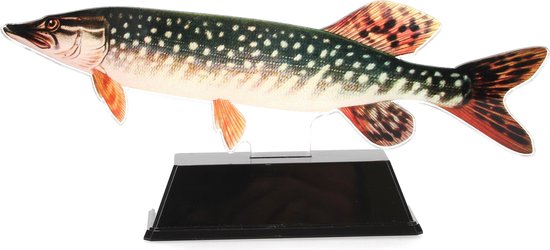 Vistrofee Real Fish Snoek 23 cm - Prijs Snoekwedstrijd Viswedstrijd Visprijs Wedstrijdprijzen Sportvissen Visprijzen Wedstrijdvissen Viswedstrijden Sportvisprijs Sportvisprijzen Visbokaal Vis Bokaal Beker Visbeker Wedstrijdbeker Visbeeld Beeldje Heng