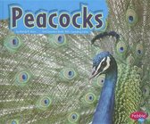 Peacocks