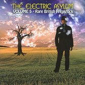 Various - Electric Asylum Volume 5