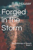 Forged in the Storm