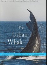 The Urban Whale   North Atlantic Right Whales at the Crossroads