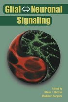 Glial Neuronal Signaling