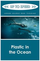 Plastics in the Ocean