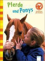 Pferde und Ponys