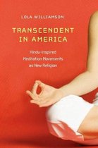 New and Alternative Religions 6 - Transcendent in America